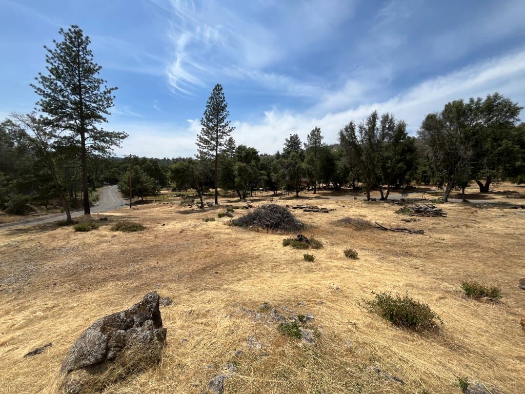FireReduct brush clearing and defensible space work in rural foothill property